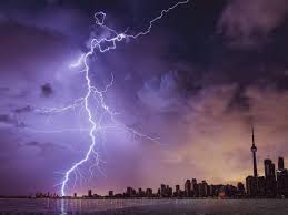 IMGDonec metus orci, malesuada et lectus vitae